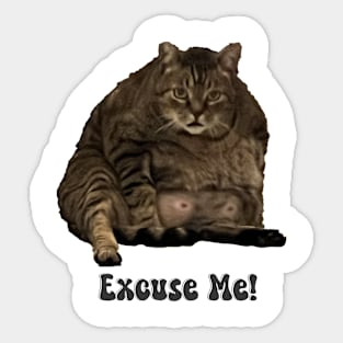 Excuse Me funny cat Sticker